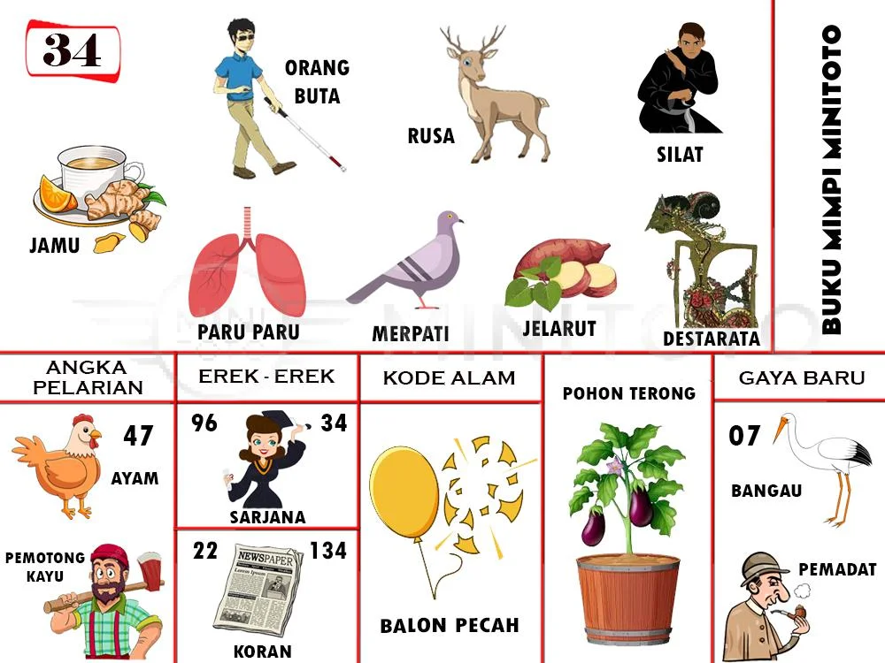 buku mimpi erek erek togel 34